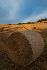 krajobraz rolniczy © Mariusz