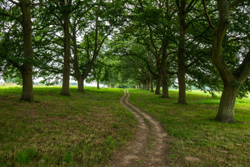 Park Leeds Castle