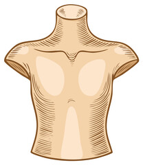 Stylized anatomical torso drawing with hatching and shading for medical diagrams, educational illustrations