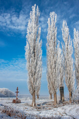 Winter Frost-Covered Trees and a Cross Under a Bright Blue Sky
