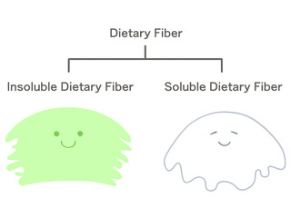 食物繊維は不溶性と水溶性に分けられる