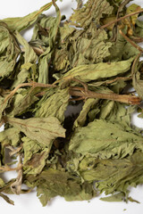 top view herb TianYeJu or Stevia Rebaudiana or Stevia at vertical composition