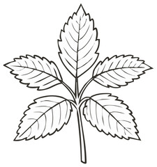 Stylized Leafy Plant Illustration with Distinct Veins Outline Against Simple White Backdrop