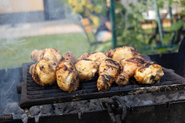 Backyard barbecue scene with racks of chicken drumsticks over hot coals and rising smoke; ideal for...