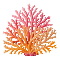Vibrant coral branch isolated on transparent background
