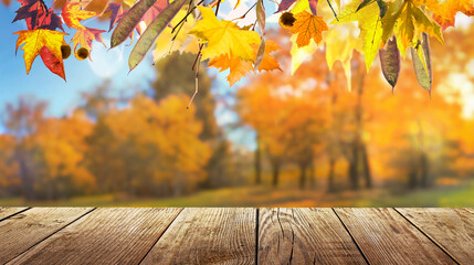 colorful fall leaves on wooden floor, blurred autumn natural background of forest with maple trees