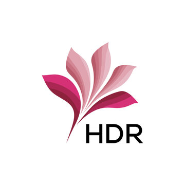 HDR Modern Floral Abstract Logo Design, HDR Later Logo, Creative Botanical Brand Identity
