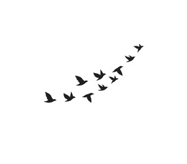 Wild bird flock silhouettes isolated on white, perfect for tattoo and pattern art