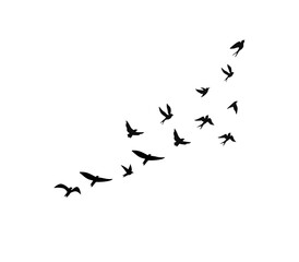 Elegant flock of flying bird silhouettes design for tattoo and logo use