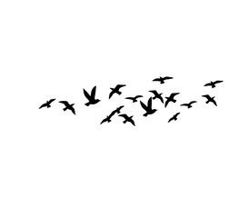 Flying bird silhouettes vector set of flock in motion for tattoo and nature art