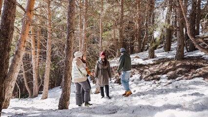 Friends walking and talking in snowy forest during winter day