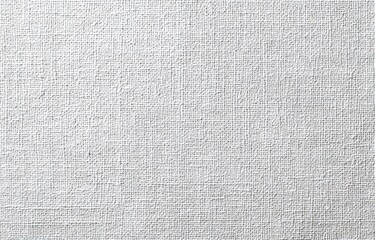 Close-up of a white canvas texture
