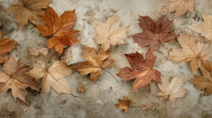 A close-up shot captures a collection of fallen maple leaves scattered across a weathered concrete surface. The leaves exhibit a range of autumnal colors ? deep reds, burnt oranges, muted yellows