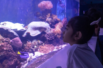 Young Girl Watching Fish in Aquarium