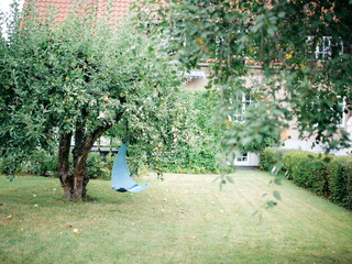 Idyllic Garden Sanctuary with Apple Tree and Cozy Blue Hammock Swing Offering Relaxation and Tranquility in a Lush Green Paradise
