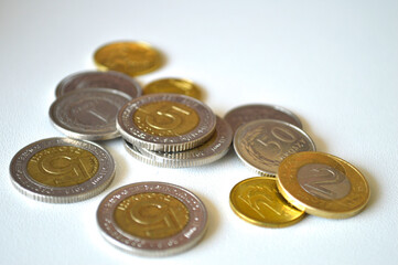 Polish Zloty Coins: Economy, Finance, and Savings