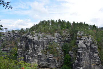 A majestic cluster of towering, weathered sandstone formations, with hardy green trees growing atop...