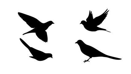 Birds in flight and perched flying silhouette