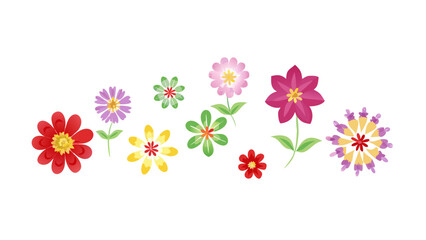 Colorful floral arrangement flowers bloom