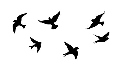 Flock of Birds in Flight and Perched flying sitting