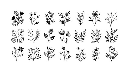 Hand Drawn Floral Elements botanical nature