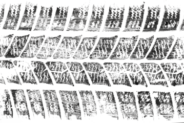 black traces of tractor tires on white background.