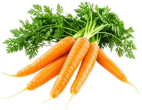  A bright and vibrant stock photo of fresh carrots on a pristine white isolated PNG (3)