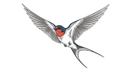 Obraz premium A beautiful barn swallow bird in flight showcasing its elegant wings and forked tail feathers in a detailed illustration