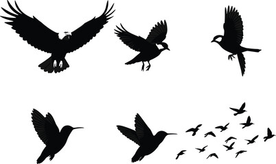 Flying birds silhouettes vector collection, including eagle, sparrow, hummingbird, and flock in flight for wildlife and nature designs.