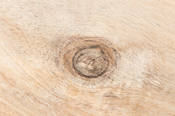 Closeup of wooden plank with natural knot texture. Rustic surface detail showing circular grain...