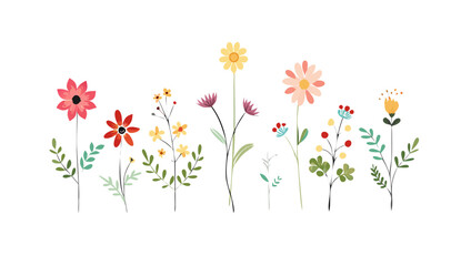 Blooming flowers in various colors and shapes floral nature