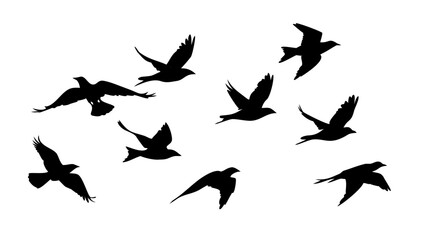 Collection of black bird silhouettes in different poses flying perched