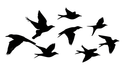 Collection of black bird silhouettes in flight birds flying