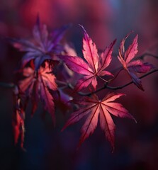 Autumnal Foliage in Deep Reds and Purples