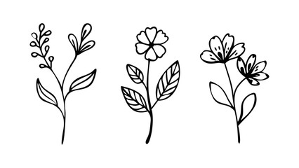 Delicate floral stems with simple line art flower plant