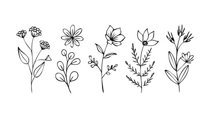 Delicate white floral petals with simple line art doodle