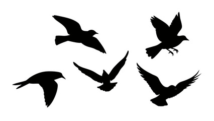Obraz premium Flock of birds in flight and perched flying silhouette