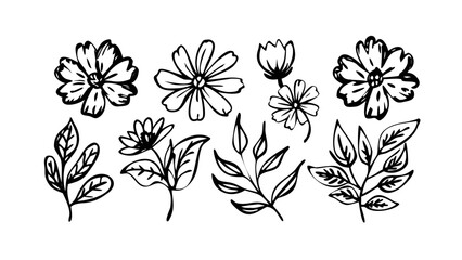Hand Drawn Ink Flowers and Leaves Collection floral botanical