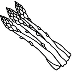 Black and White Outline Illustration of Three Asparagus Spears, Fresh Vegetables