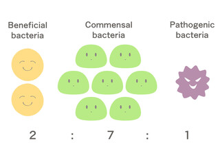腸内細菌のイラスト　善玉菌・日和見菌・悪玉菌