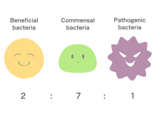 腸内細菌のイラスト　善玉菌・日和見菌・悪玉菌