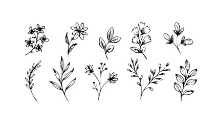 Rough ink brush floral elements flower botanical