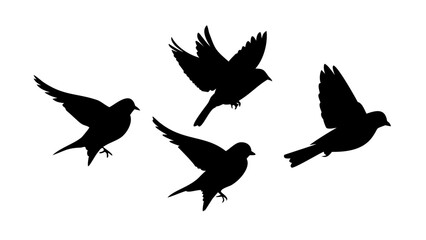 Two Sparrows Perched Together birds flying