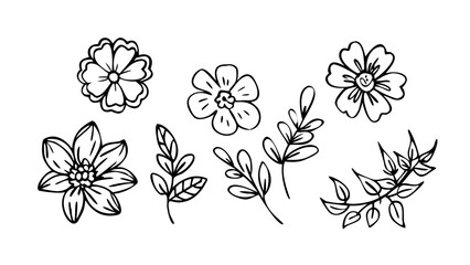 Whimsical Floral and Leafy Elements leaves botanical
