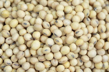 Soy is an important plant protein extract suitable for vegetarians
