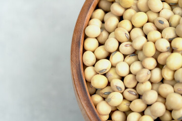 Soy is an important plant protein extract suitable for vegetarians