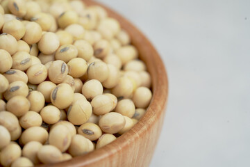 Soy is an important plant protein extract suitable for vegetarians