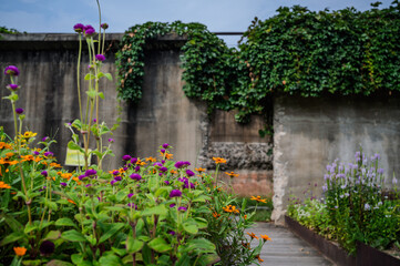 서서울호수공원 꽃밭