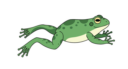 Fototapeta premium Animated green frog with dark spots illustration, isolated on white background, amphibian cartoon figure vector for graphic resources design