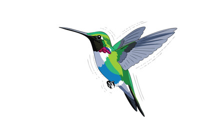 Fototapeta premium Colorful hummingbird illustration gracefully soars, showcasing dynamic wing movement against a clean white backdrop in animated style